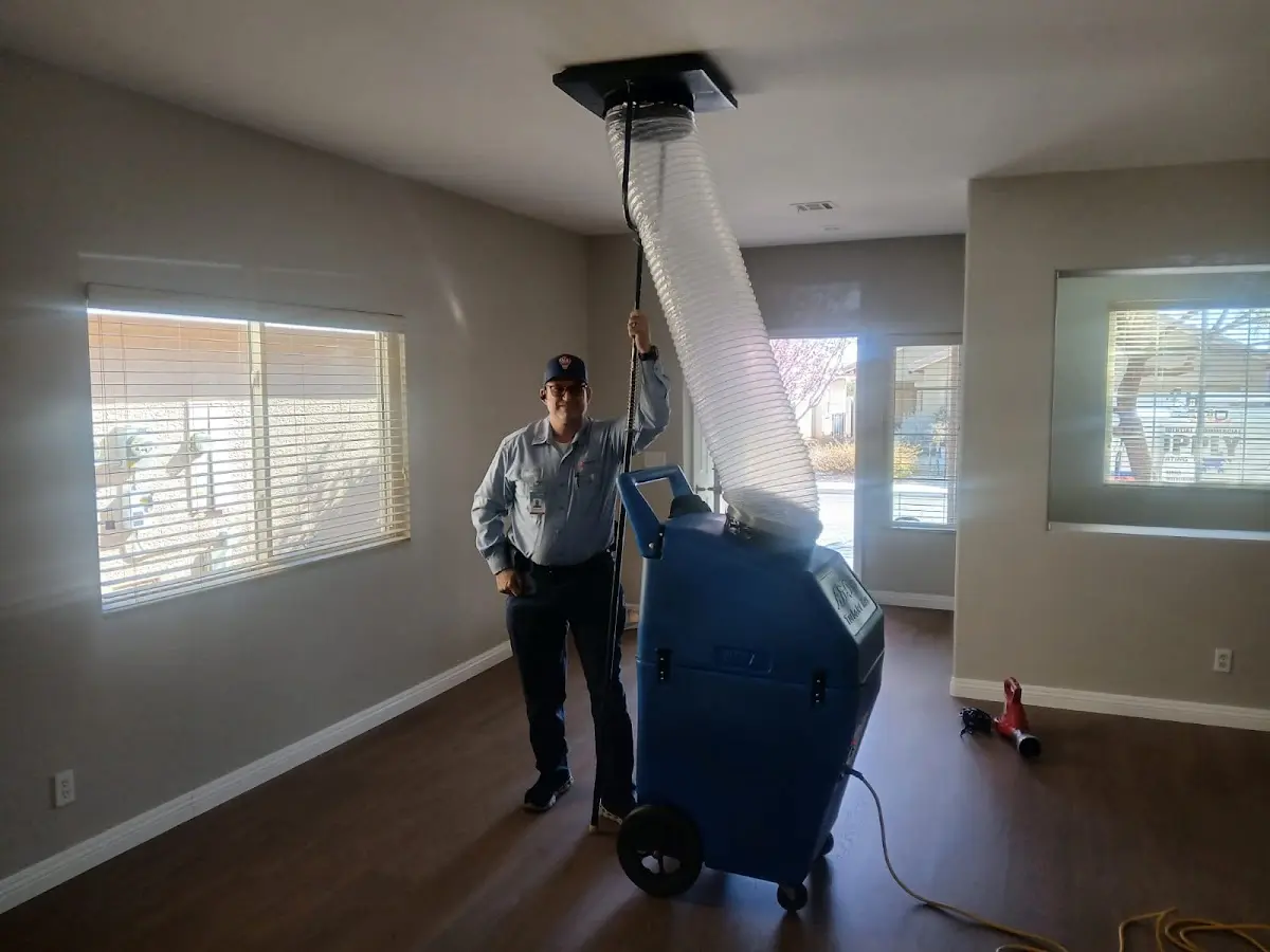 Professional Dryer Vent Cleaning work inside a Bee Ridge home
